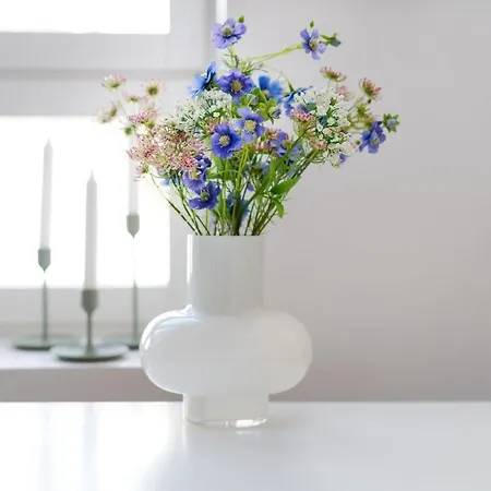 Aurora By Lapland Host *